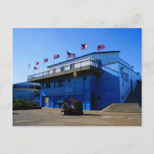 SF Aquarium van de baai #4-2 Briefkaart (Voorkant)