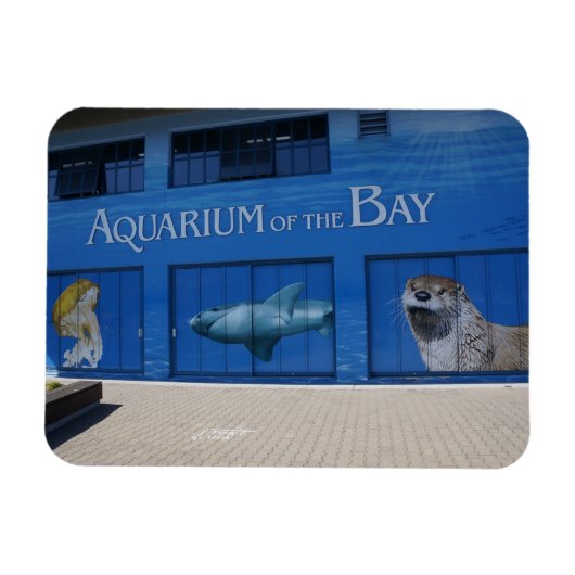 SF Aquarium van de Bay Magnet Magneet (Horizontaal)