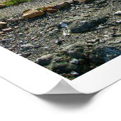 SF Bay Area Poster (Hoek)