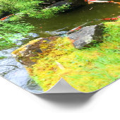 SF Japans Tea Garden Koi Pond #1 Poster (Hoek)
