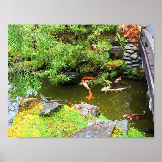 SF Japans Tea Garden Koi Pond #1 Poster (Voorkant)