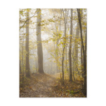 Sfeervolle herfstpark in nevel