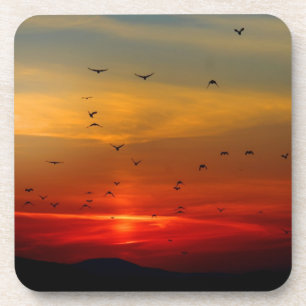 Sfeervolle lucht, zonsondergang, vogels, mooie fot onderzetter