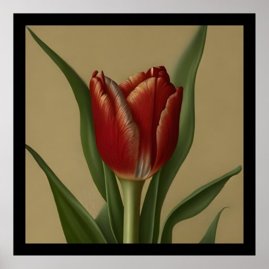 Sfeervolle Rode Tulp  Poster (Voorkant)