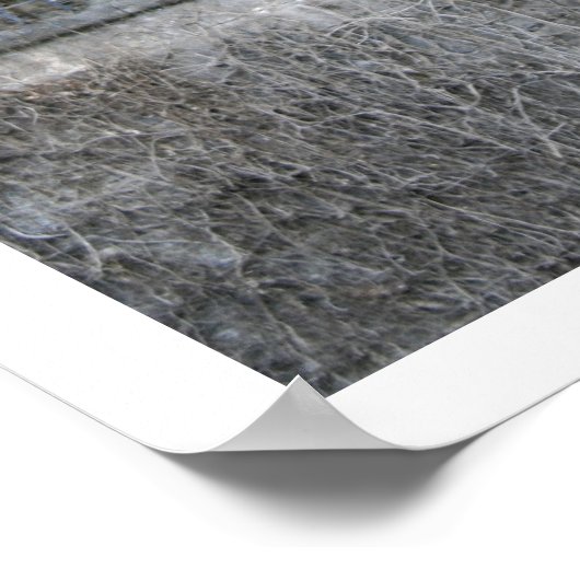 Sforza Window Detail Poster (Hoek)