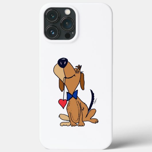 SG - 210 - iPhone 13 Pro Max Coque (Verso)