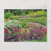 SG Landschap Briefkaart #170N 0170 (Voorkant)