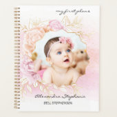 Shabby Chic Baby Girl First Year Scrapbook Album (Devant)