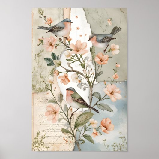 Shabby Chic Decoupage Bird Botanische Kunst Poster (Voorkant)