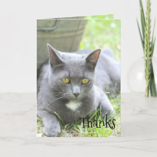 Shabby Chic Kaart