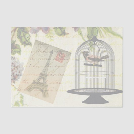 Shabby-Chic Oud Paris Tissuepapier (Voorkant)
