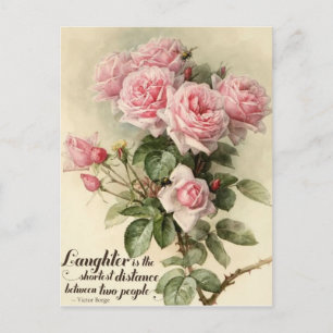 Shabby Chic Pink Victoriaans Rozen Briefkaart