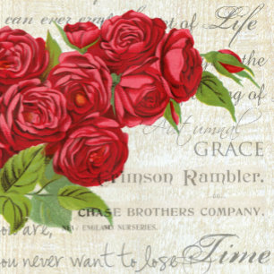  Shabby Chic Red Roses op Antiek script Tegeltje