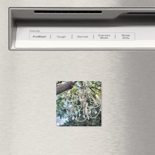 Shabby Chic White Crystal Chandelier Magneet (Insitu (Vaatwasser))