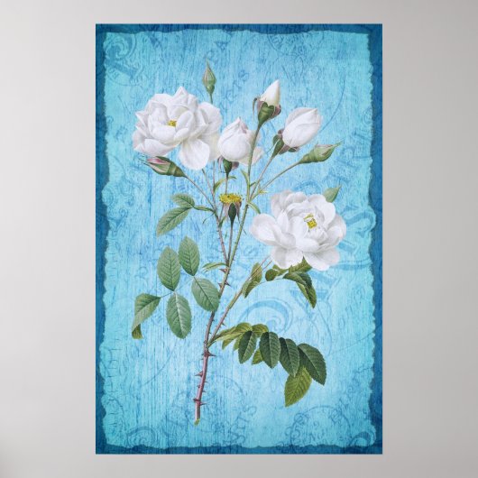  Shabby Chic Witte Rozen Blauw Hout Poster (Voorkant)