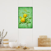 Shabby Chic Yellow Roses Groene Achtergrond Poster (Keuken)