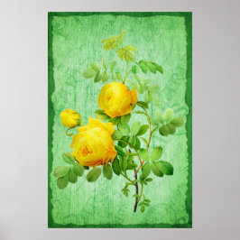  Shabby Chic Yellow Roses Groene Achtergrond Poster