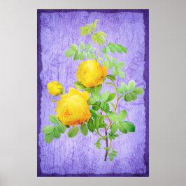  Shabby Chic Yellow Roses Lila achtergrond Poster