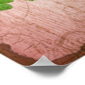 Shabby Chic Yellow Roses Roze Achtergrond Poster (Hoek)