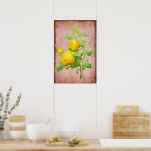 Shabby Chic Yellow Roses Roze Achtergrond Poster (Keuken)