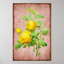  Shabby Chic Yellow Roses Roze Achtergrond Poster