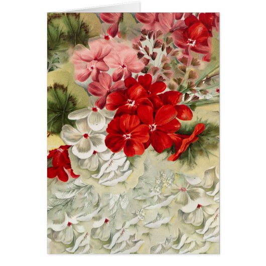 Shabby ivoor roze rode spoelkolf (Voorkant)