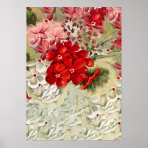 Shabby ivoor roze rood spoeltje poster