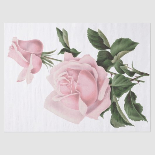  Shabby Pink Floral Rozen Tissuepapier (Voorkant)