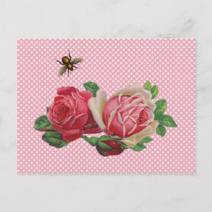 Shabby Rozen Briefkaarten