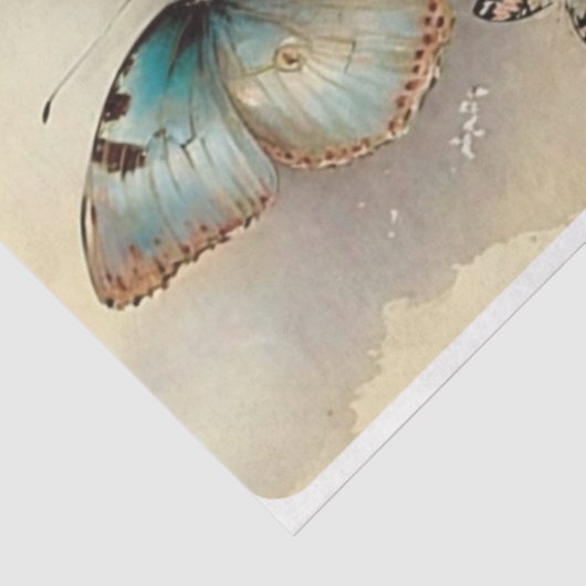 Shabby Spring Tissuepapier (Detail)