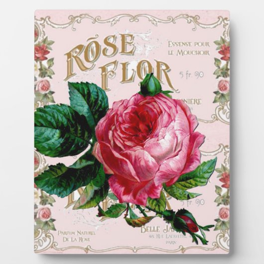 SHABBYCHIC Engelse Roos vintage roze Fotoplaat (Voorkant)