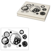 Shabu-Shabu Japan Japanse keuken Hotpot
