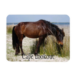 Shackleford Bank Wild Horse Magnet Magneet