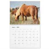Shackleford Banks Ponies Kalender (Mar 2026)
