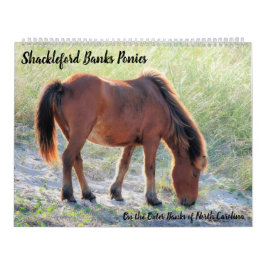 Shackleford Banks Ponies Kalender
