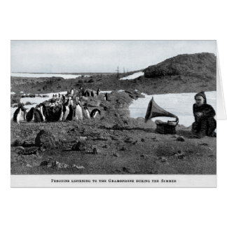 Shackleton dans le phonographe antarctique avec