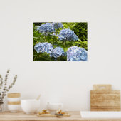 Shades of Blue Hydrangeas Poster (Keuken)