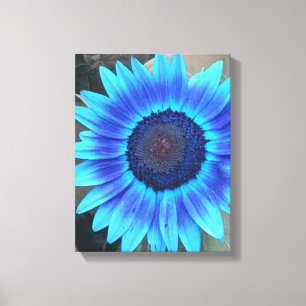 Shades of Blue Sunflower Wrapped canvas Afdrukken