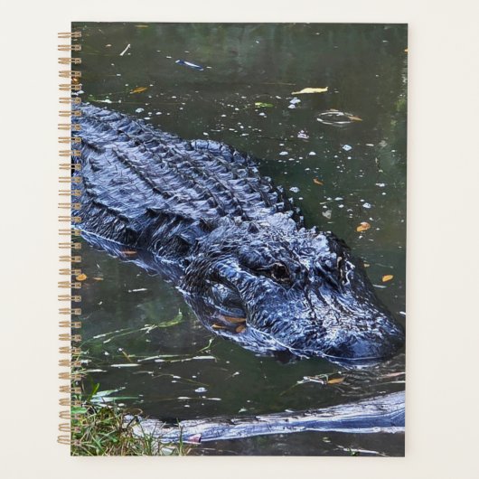 Shadow in the Shallows Planner (Voorkant)