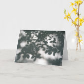 Shadow Patterns Kaart (Gele Bloem)