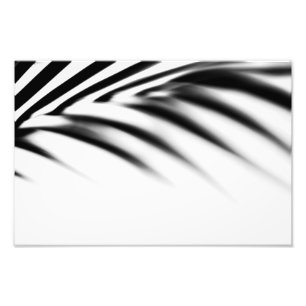 Shadow Zen. Palm Leaf. Monochrome Foto Afdruk