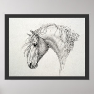 Shadowfax Poster