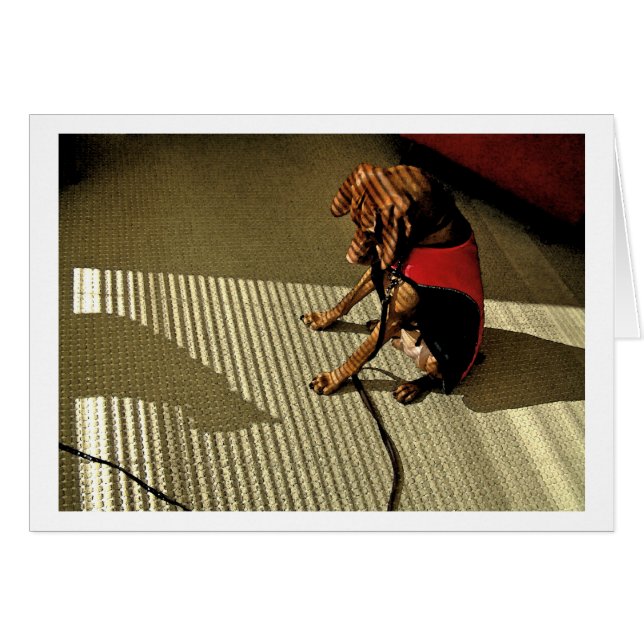 Shadowplay 1 (Voorkant Horizontaal)