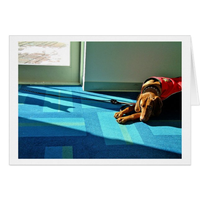 Shadowplay 2 (Voorkant Horizontaal)