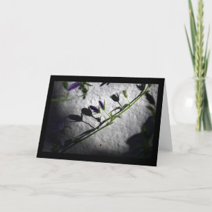 Shadows - Sympathiekaarten Bedankkaart