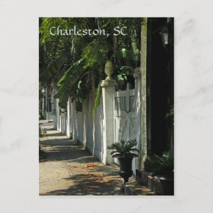 Shady Charleston Post Card Briefkaart