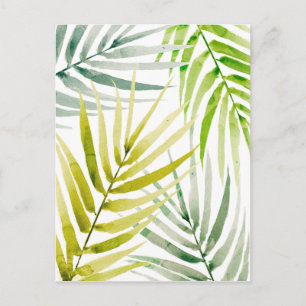 Shady Palms Briefkaart