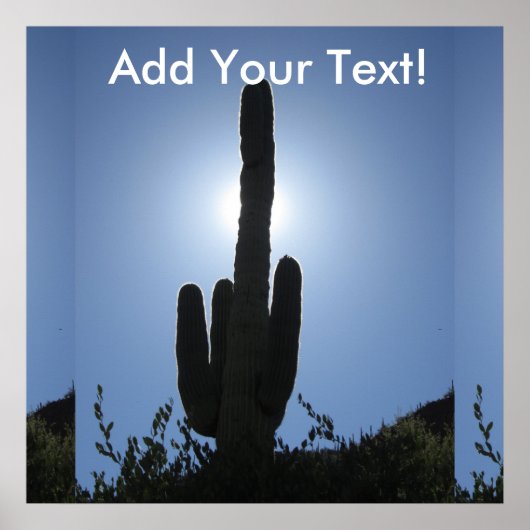Shady Saguaro Poster (Voorkant)