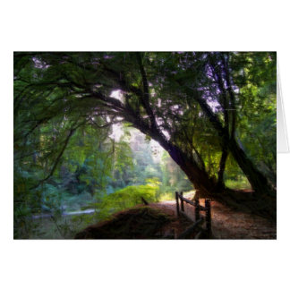 Shady Stream-kaart