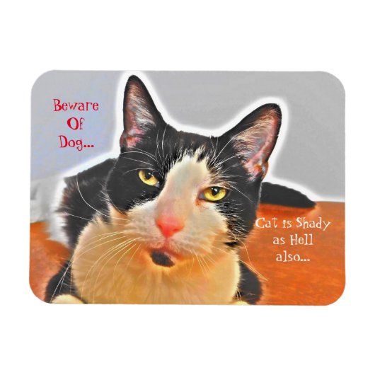 Shady Tuxedo Cat Magneet (Horizontaal)